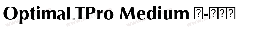 OptimaLTPro Medium 中字体转换